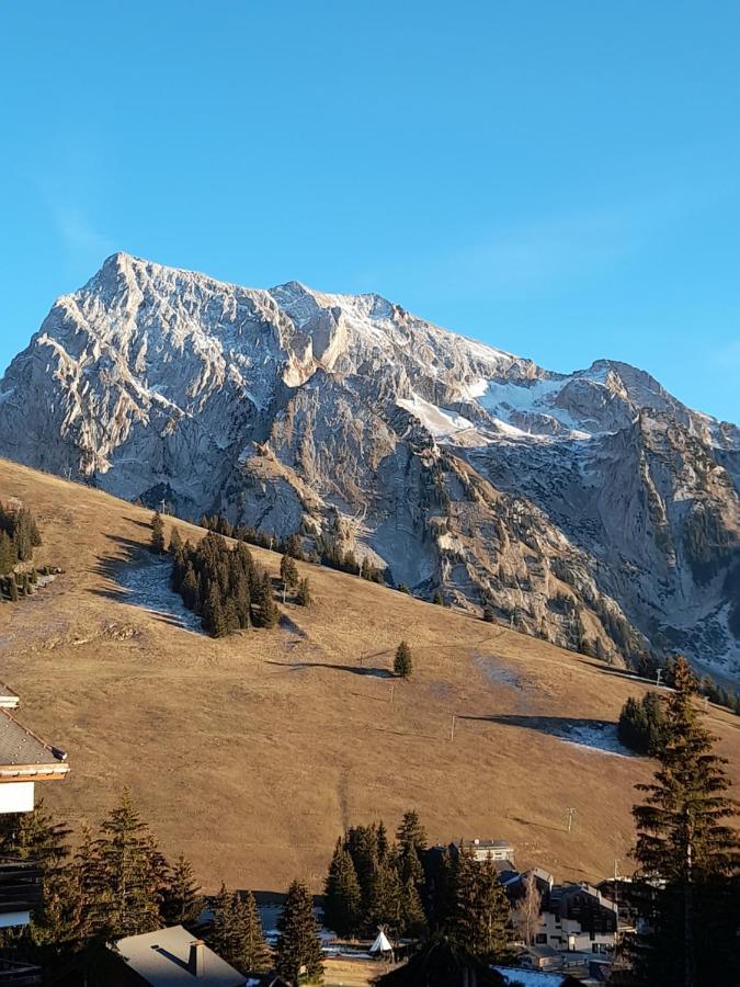 מניגו Appartement Au Coeur Des Aravis מראה חיצוני תמונה